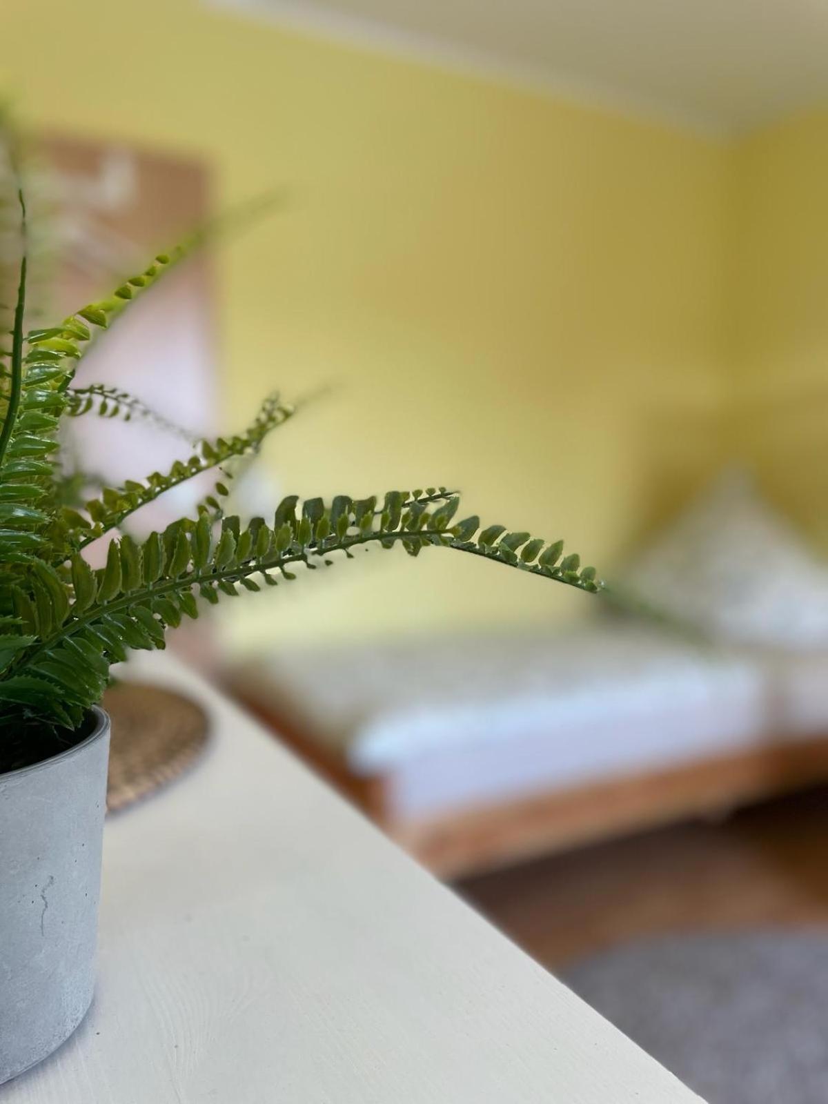Modernes Apartment Im Gruenen, Mit Park- Und Meer-Naehe Bad Zwischenahn Eksteriør billede