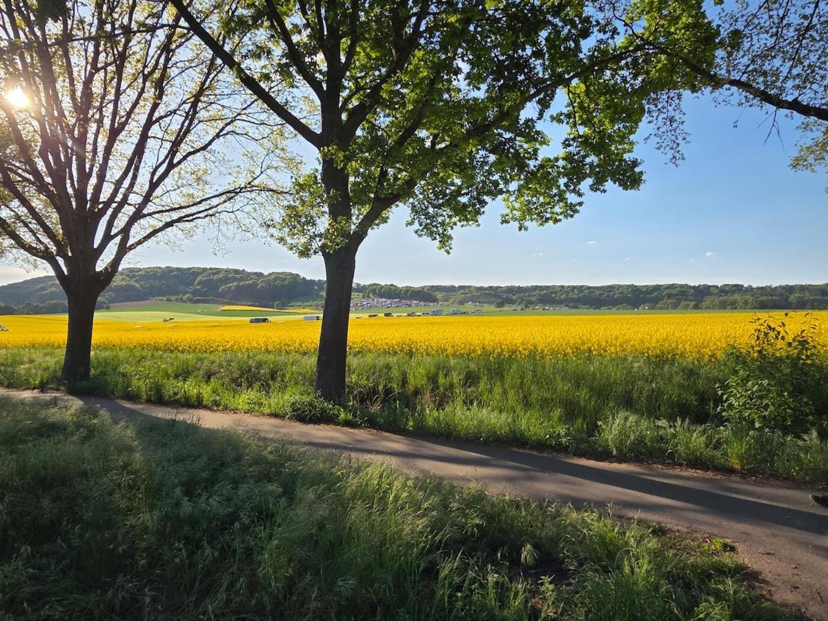 Modernes Apartment Im Gruenen, Mit Park- Und Meer-Naehe Bad Zwischenahn Eksteriør billede